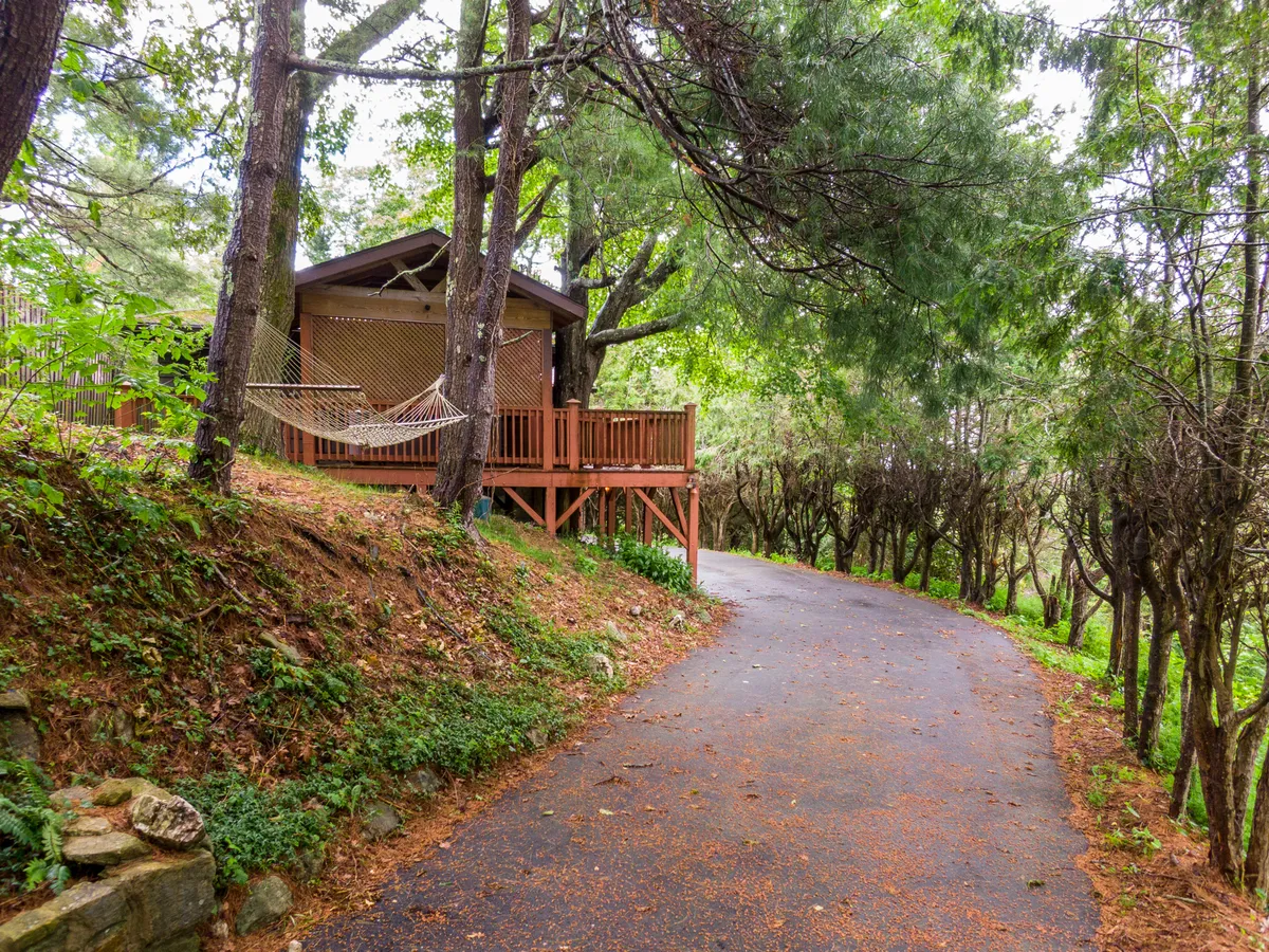 A serene wooden deck hosts a hammock beneath leafy trees, with a gentle path meandering through the greenery. The inviting scene suggests leisurely afternoons spent relaxing, reading, or enjoying the mountain air, with ample space for unwinding or gathering with friends and family.