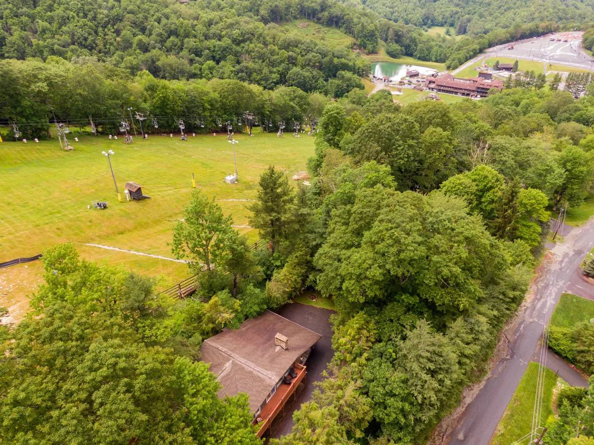 A lush, open grassy area surrounded by vibrant greenery, with wooden structures nestled at the edge of the landscape. Cable cars glide above, hinting at the adventurous spirit of the mountain. The field is inviting for outdoor activities and exploration.