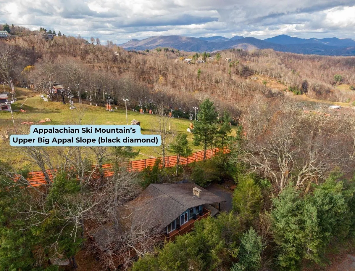A stunning view of the cabin set against wooded mountains and the Upper Big Appal Slope, with open spaces for skiing, hiking, and nature walks. The setting is both adventurous and cozy, showcasing the best of mountain living.